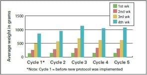 IBV Variants in the Middle East - Image 3