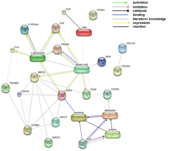 Oral administration of Lactobacillus plantarum 299v modulates gene expression in the ileum of pigs: prediction of crosstalk between intestinal immune cells and sub-mucosal adipocytes - Image 5