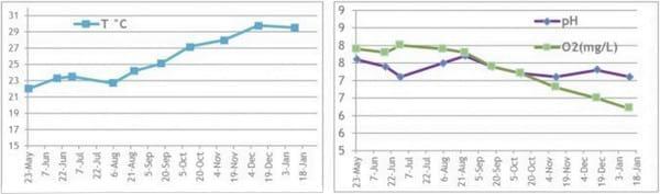 Aiding gut health with a natural growth promotor - Image 2
