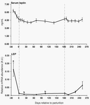 Longitudinal Profiling of the Tissue-Specific Expression of Genes Related with Insulin Sensitivity in Dairy Cows during Lactation Focusing on Different Fat Depots - Image 3