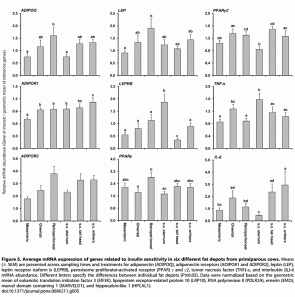 Longitudinal Profiling of the Tissue-Specific Expression of Genes Related with Insulin Sensitivity in Dairy Cows during Lactation Focusing on Different Fat Depots - Image 9