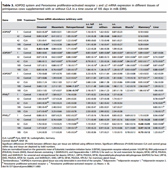 Longitudinal Profiling of the Tissue-Specific Expression of Genes Related with Insulin Sensitivity in Dairy Cows during Lactation Focusing on Different Fat Depots - Image 7