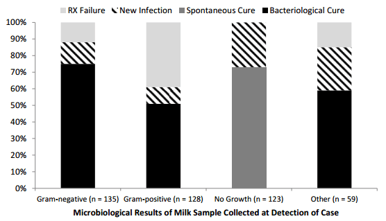 Improving Mastitis Treatments by Targeted Antimicrobial Therapy - Image 2