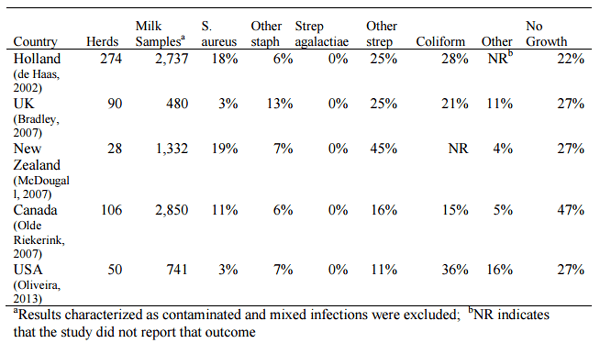 Risks, Realities and Responsibilities Associated with Mastitis Treatments - Image 1