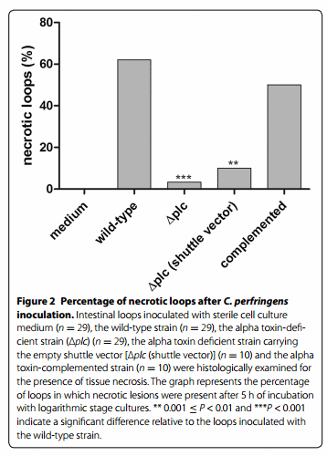 The C-terminal Domain of Clostridium Perfringens Alpha Toxin as a Vaccine Candidate Against Bovine Necrohemorrhagic Enteritis - Image 8