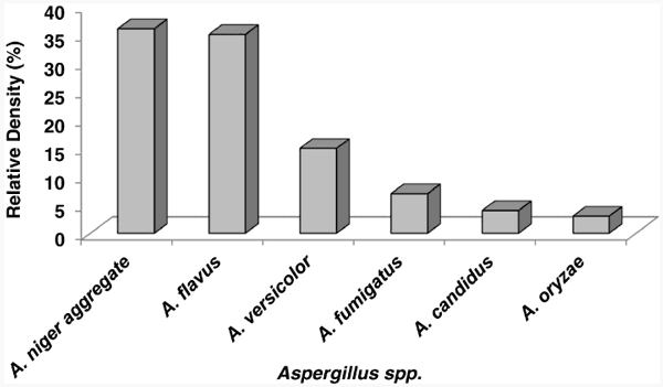 Mycobiota and mycotoxins present in finished fish feeds from farms in the Rio de Janeiro State, Brazil - Image 2