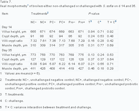 Use of Lactobacillus johnsonii in broilers challenged with Salmonella sofia - Image 9