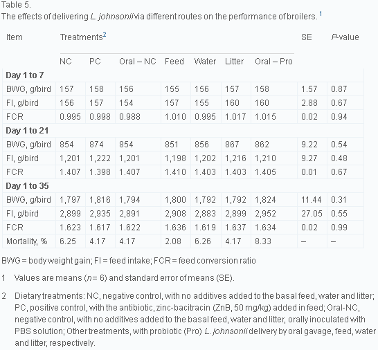 Delivery routes for probiotics: Effects on broiler performance, intestinal morphology and gut microflora - Image 5