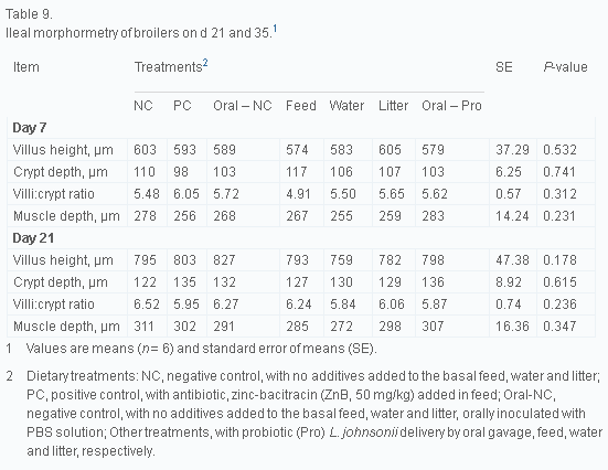 Delivery routes for probiotics: Effects on broiler performance, intestinal morphology and gut microflora - Image 9