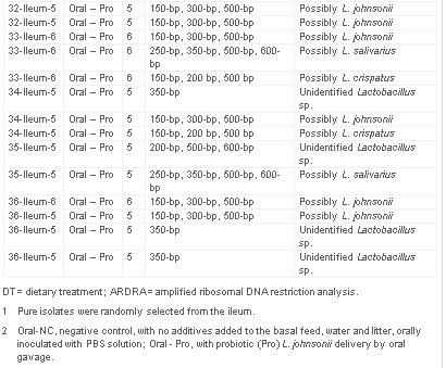 Delivery routes for probiotics: Effects on broiler performance, intestinal morphology and gut microflora - Image 11