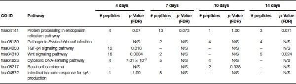 A role for the non-canonical Wnt-ß-Catenin and TGF-ß signaling pathways in the induction of tolerance during the establishment of a Salmonella enterica serovar Enteritidis persistent cecal infection in chickens - Image 5