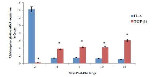 A role for the non-canonical Wnt-ß-Catenin and TGF-ß signaling pathways in the induction of tolerance during the establishment of a Salmonella enterica serovar Enteritidis persistent cecal infection in chickens - Image 4