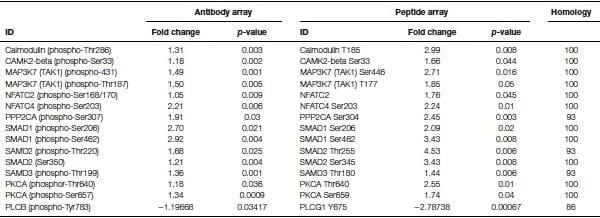 A role for the non-canonical Wnt-ß-Catenin and TGF-ß signaling pathways in the induction of tolerance during the establishment of a Salmonella enterica serovar Enteritidis persistent cecal infection in chickens - Image 8