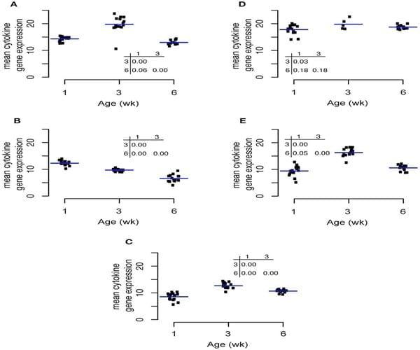 Spatial and Temporal Changes in the Broiler Chicken Cecal and Fecal Microbiomes and Correlations of Bacterial Taxa with Cytokine Gene Expression - Image 9