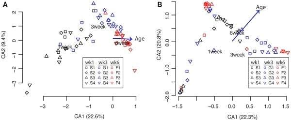 Spatial and Temporal Changes in the Broiler Chicken Cecal and Fecal Microbiomes and Correlations of Bacterial Taxa with Cytokine Gene Expression - Image 4