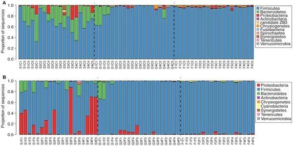 Spatial and Temporal Changes in the Broiler Chicken Cecal and Fecal Microbiomes and Correlations of Bacterial Taxa with Cytokine Gene Expression - Image 7