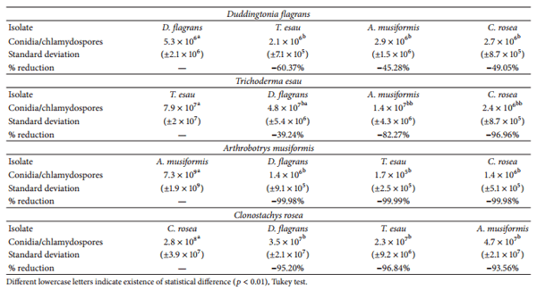 Fungal Antagonism Assessment of Predatory Species and Producers Metabolites and Their Effectiveness on Haemonchus contortus Infective Larvae - Image 1