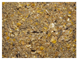 Dietary Fibre, the Forgotten Nutrient? - Image 2