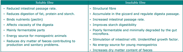 Dietary Fibre, the Forgotten Nutrient? - Image 1