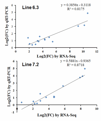 RNA-seq Profiles of Immune Related Genes in the Spleen of Necrotic Enteritis-afflicted Chicken Lines - Image 12