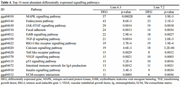 RNA-seq Profiles of Immune Related Genes in the Spleen of Necrotic Enteritis-afflicted Chicken Lines - Image 6