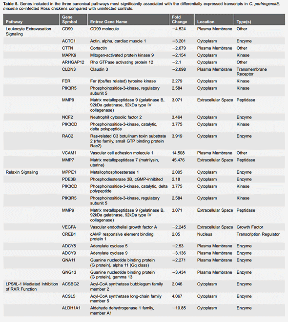 Transcriptional Profiles of Host-Pathogen Responses to Necrotic Enteritis and Differential Regulation of Immune Genes in Two Inbreed Chicken Lines Showing Disparate Disease Susceptibility - Image 8