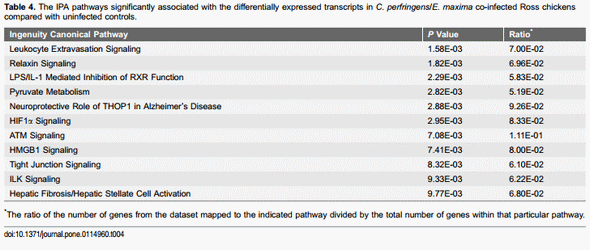 Transcriptional Profiles of Host-Pathogen Responses to Necrotic Enteritis and Differential Regulation of Immune Genes in Two Inbreed Chicken Lines Showing Disparate Disease Susceptibility - Image 7