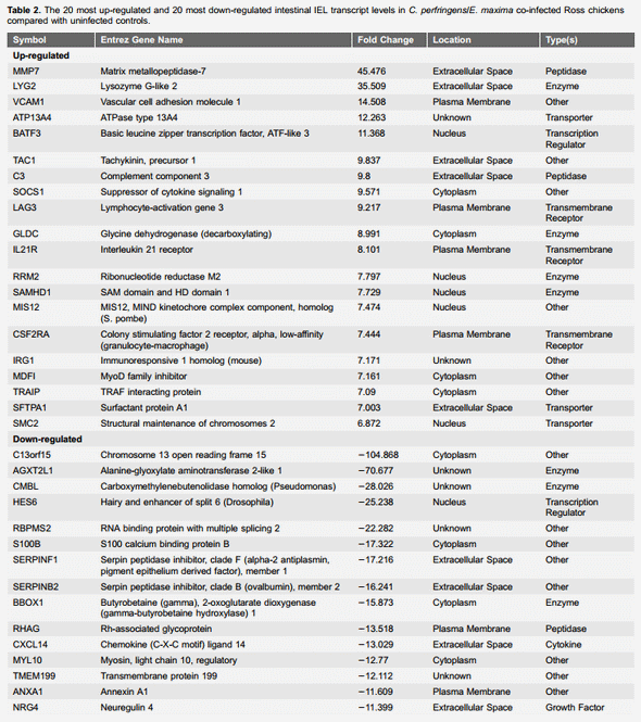 Transcriptional Profiles of Host-Pathogen Responses to Necrotic Enteritis and Differential Regulation of Immune Genes in Two Inbreed Chicken Lines Showing Disparate Disease Susceptibility - Image 4