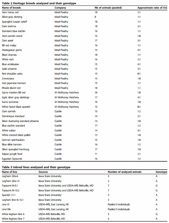Mapping and genotypic analysis of the NK-lysin gene in chicken - Image 3