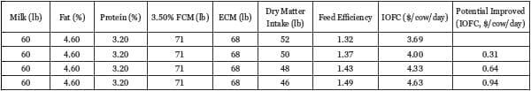 Improving Feed Efficiency in Dairy Cattle - Image 1
