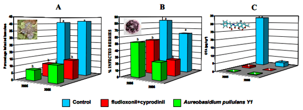 Biological control strategies of mycotoxigenic fungi and associated mycotoxins in Mediterranean basin crops - Image 3