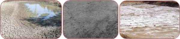 Management Practice of Vannamei Shrimp culture ponds with High Stocking Density & Zero Water Exchange in Purba Medinapur Dist.of W.Bengal, India, in relation to Growth, Survivals and Water quality - Image 2