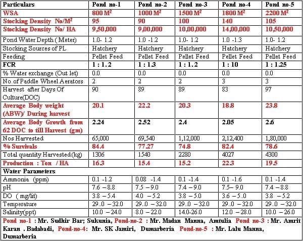 Management Practice of Vannamei Shrimp culture ponds with High Stocking Density & Zero Water Exchange in Purba Medinapur Dist.of W.Bengal, India, in relation to Growth, Survivals and Water quality - Image 9
