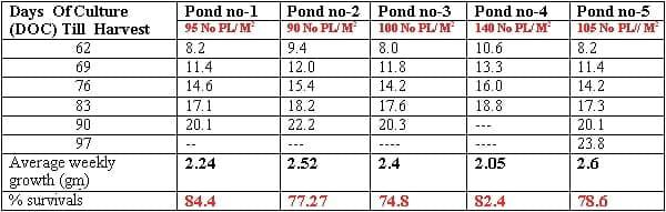 Management Practice of Vannamei Shrimp culture ponds with High Stocking Density & Zero Water Exchange in Purba Medinapur Dist.of W.Bengal, India, in relation to Growth, Survivals and Water quality - Image 10