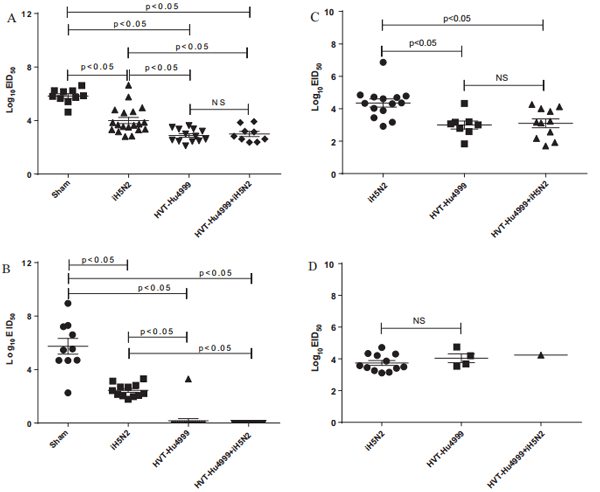 Vaccine protection of chickens against antigenically diverse H5 highly pathogenic avian influenza isolates with a live HVT vector vaccine expressing the influenza hemagglutinin gene derived from a clade 2.2 avian influenza virus - Image 7