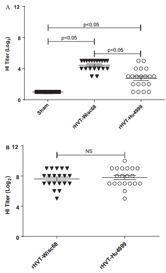 Vaccine protection of chickens against antigenically diverse H5 highly pathogenic avian influenza isolates with a live HVT vector vaccine expressing the influenza hemagglutinin gene derived from a clade 2.2 avian influenza virus - Image 10