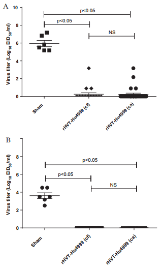 Vaccine protection of chickens against antigenically diverse H5 highly pathogenic avian influenza isolates with a live HVT vector vaccine expressing the influenza hemagglutinin gene derived from a clade 2.2 avian influenza virus - Image 3