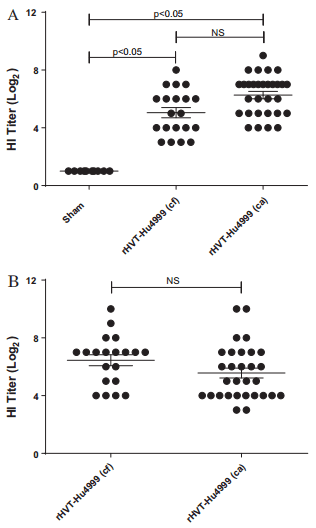 Vaccine protection of chickens against antigenically diverse H5 highly pathogenic avian influenza isolates with a live HVT vector vaccine expressing the influenza hemagglutinin gene derived from a clade 2.2 avian influenza virus - Image 2