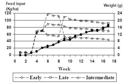 A Case Study on Feed Management to Improving Production and Economic Returns for the Semi-Intensive Pond Production of Litopenaeus vannamei - Image 3