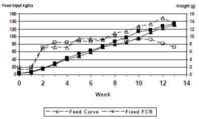 A Case Study on Feed Management to Improving Production and Economic Returns for the Semi-Intensive Pond Production of Litopenaeus vannamei - Image 2