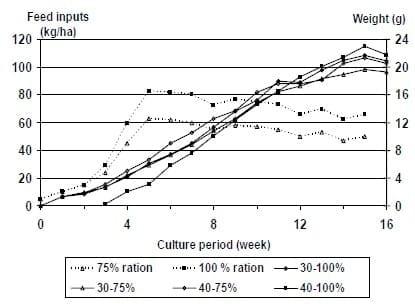 A Case Study on Feed Management to Improving Production and Economic Returns for the Semi-Intensive Pond Production of Litopenaeus vannamei - Image 4