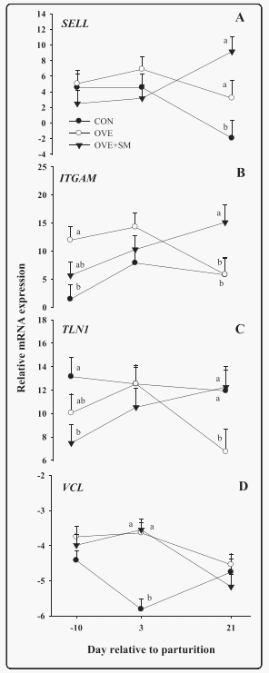Peripartal rumen-protected methionine supplementation to higher energy diets elicits positive effects on blood neutrophil gene networks, performance and liver lipid content in dairy cows - Image 11