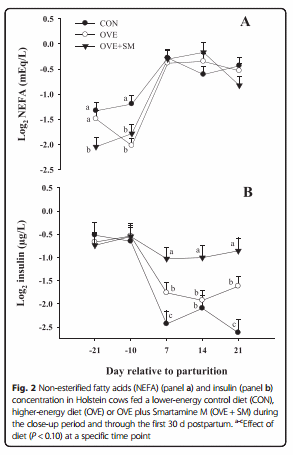 Peripartal rumen-protected methionine supplementation to higher energy diets elicits positive effects on blood neutrophil gene networks, performance and liver lipid content in dairy cows - Image 6