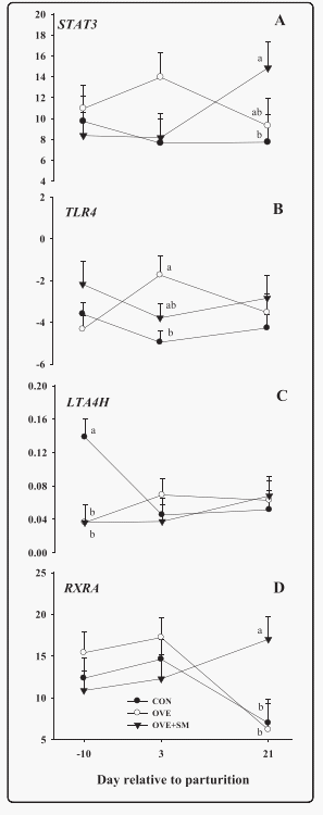 Peripartal rumen-protected methionine supplementation to higher energy diets elicits positive effects on blood neutrophil gene networks, performance and liver lipid content in dairy cows - Image 9