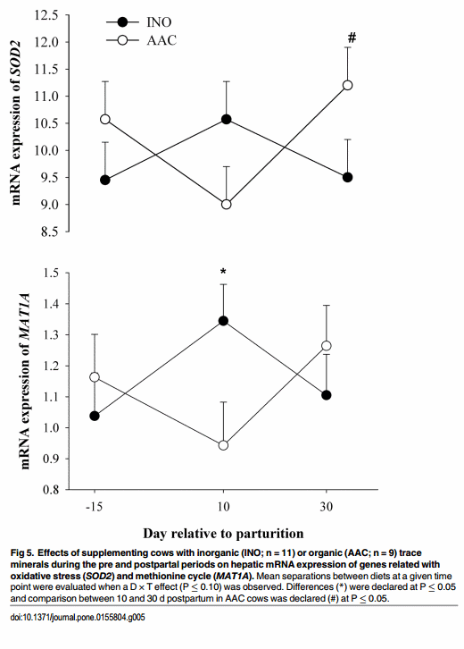 Immunometabolic Status during the Peripartum Period Is Enhanced with Supplemental Zn, Mn, and Cu from Amino Acid Complexes and Co from Co Glucoheptonate - Image 8