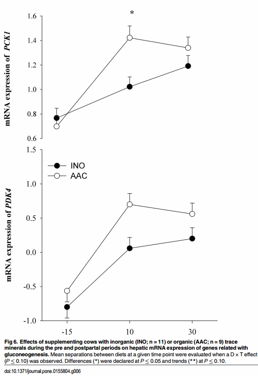 Immunometabolic Status during the Peripartum Period Is Enhanced with Supplemental Zn, Mn, and Cu from Amino Acid Complexes and Co from Co Glucoheptonate - Image 9