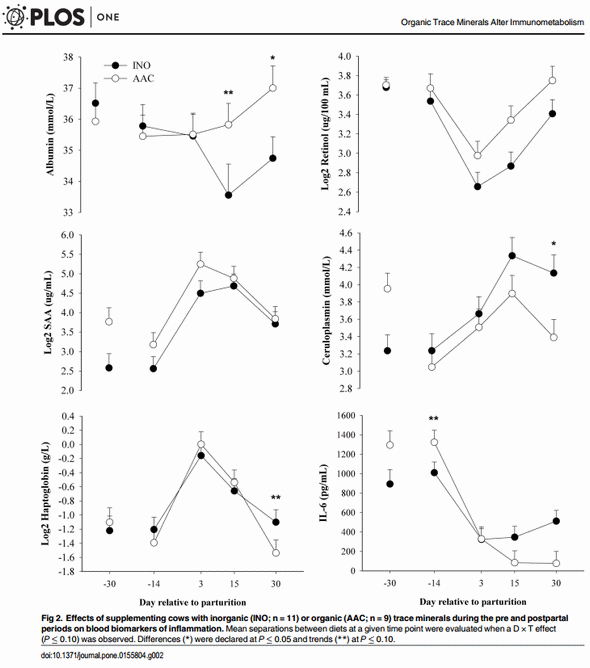 Immunometabolic Status during the Peripartum Period Is Enhanced with Supplemental Zn, Mn, and Cu from Amino Acid Complexes and Co from Co Glucoheptonate - Image 4