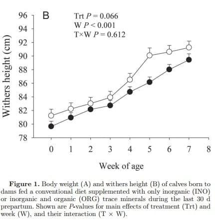 Maternal consumption of organic trace minerals alters calf systemic and neutrophil mRNA and microRNA indicators of inflammation and oxidative stress - Image 8