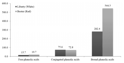 Grain Sorghum: A Conundrum for Chicken-Meat Production - Image 3