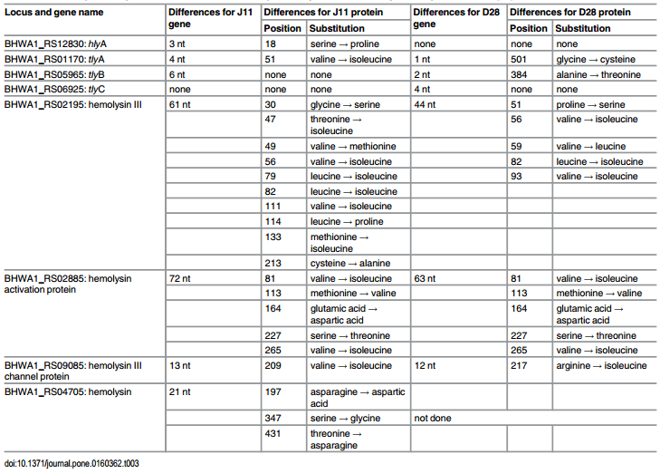 Comparison of Brachyspira hyodysenteriae Isolates Recovered from Pigs in Apparently Healthy Multiplier Herds with Isolates from Herds with Swine Dysentery - Image 6